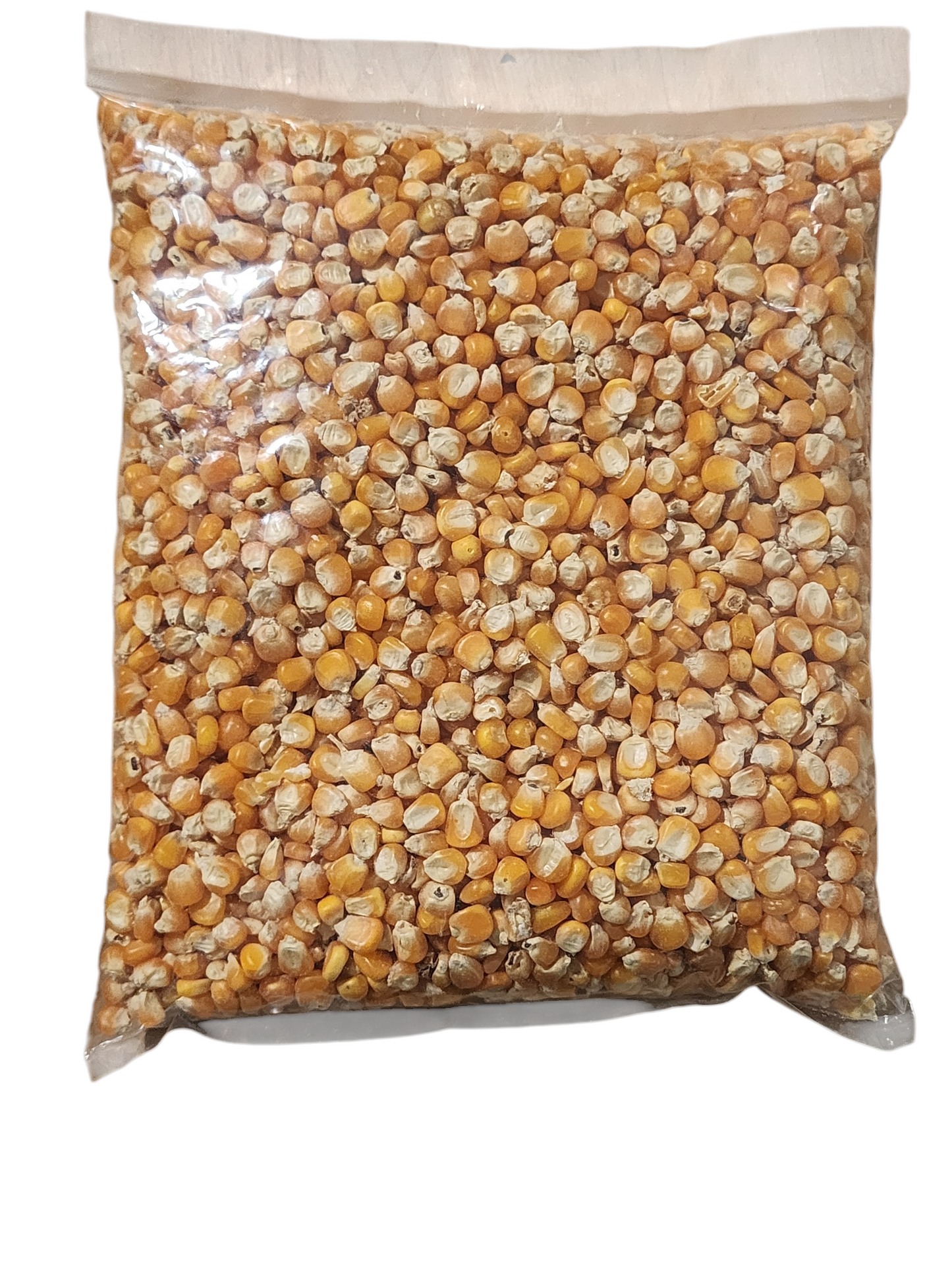 Dry Yellow Corn Kernel